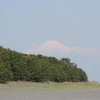 11Mitsuho no Matsubara 2