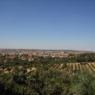 View from Rodolf Mansion Olive groves, vineyards, Toledo