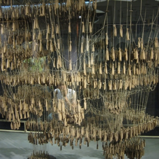 Experimental upside-down suspension at Colonia Guell Church.  The natural curves do not oppose gravity; they are the essence of Gaudi architecture.  Unbroken structure with only stones placed one on top of the other. This is nature's wisdom.